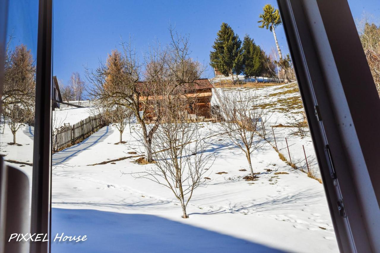 Pixxel House Hotel Moeciu De Sus Bagian luar foto